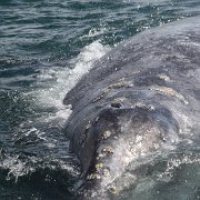 IMG 0001 2 (23)